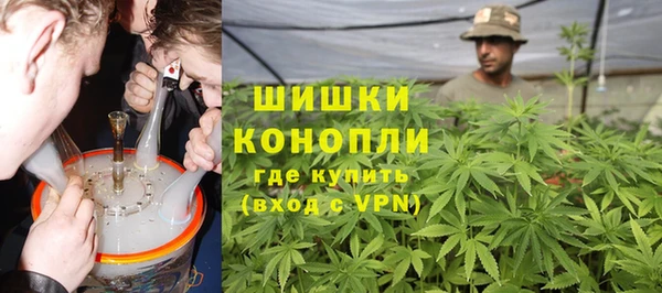 индика Нягань