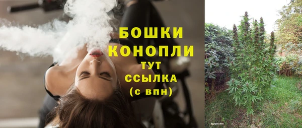 винт Новозыбков
