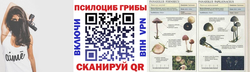Галлюциногенные грибы прущие грибы  Фёдоровский 